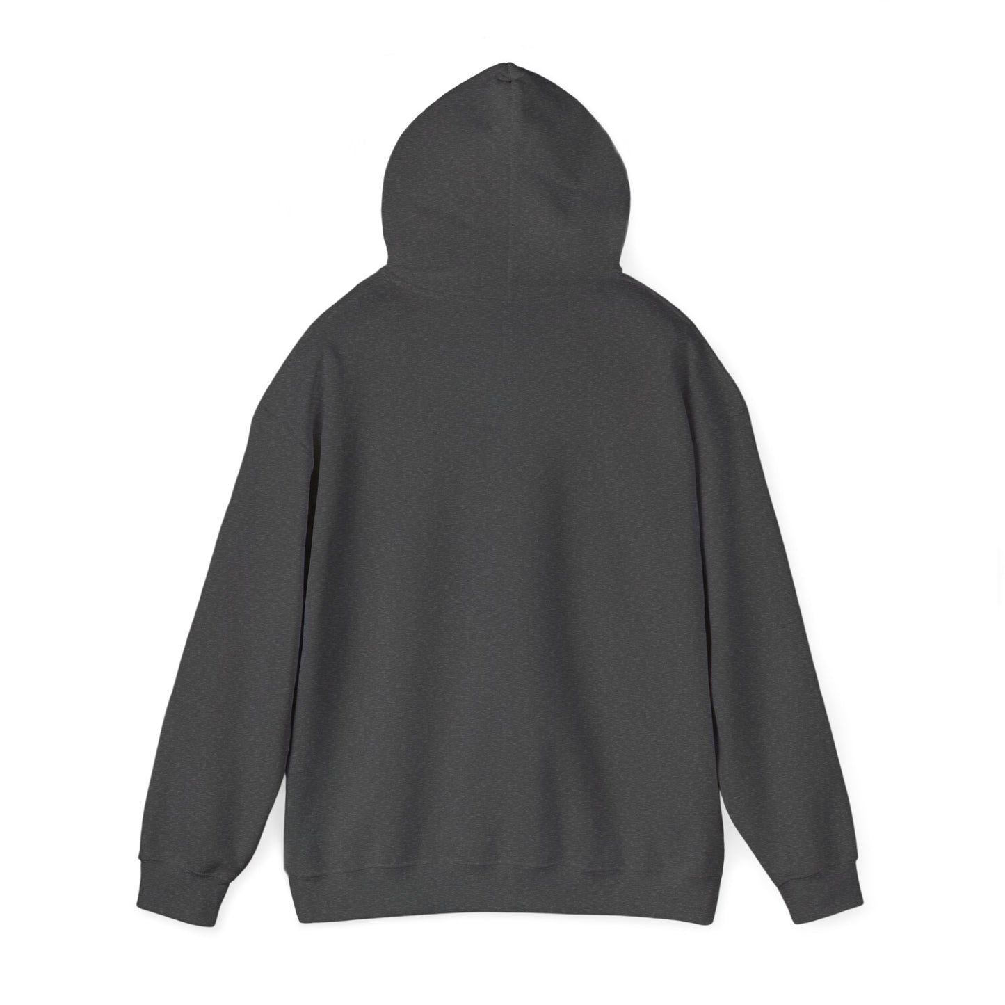 Hooded Sweatshirt | Kind of a Mess, Still Iconic - Cozy, Funny, Unisex Hooded Sweatshirt, Gift, Apparel