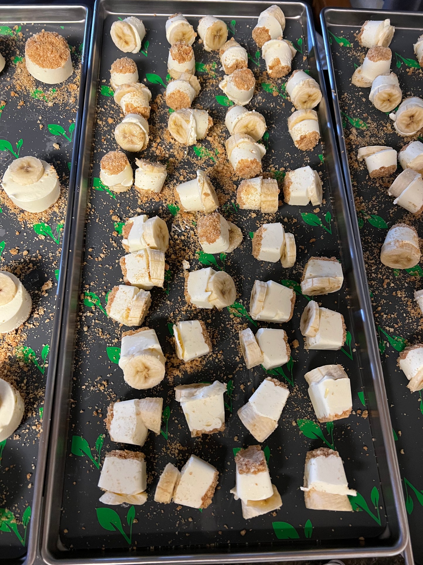 Martian Morsels: Freeze Dried Pudding