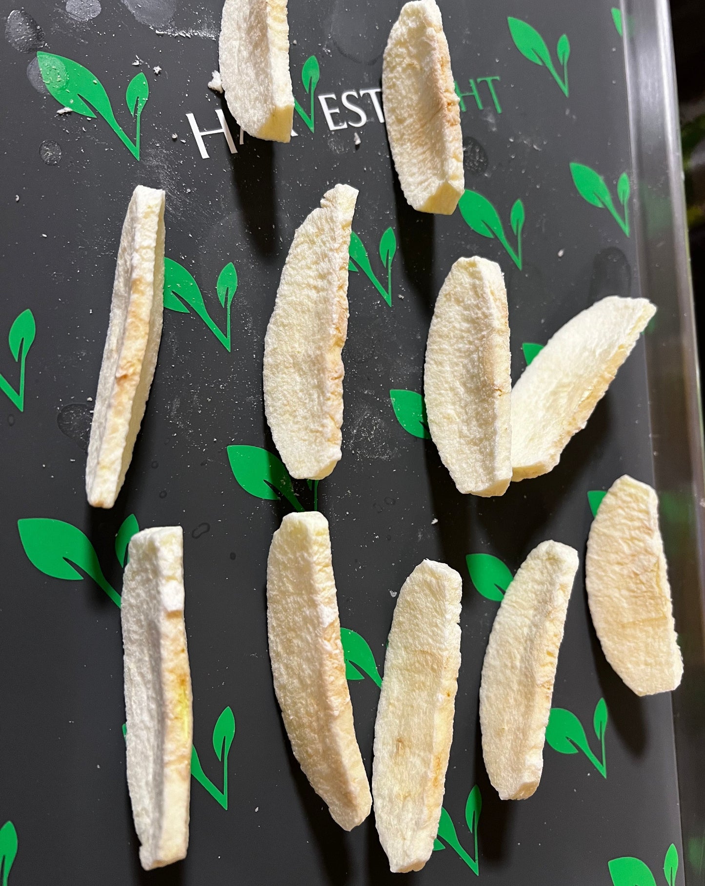 Freeze Dried Apples
