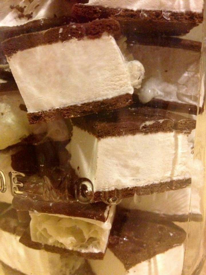 Martian Bar: Freeze Dried Ice Cream Sandwich