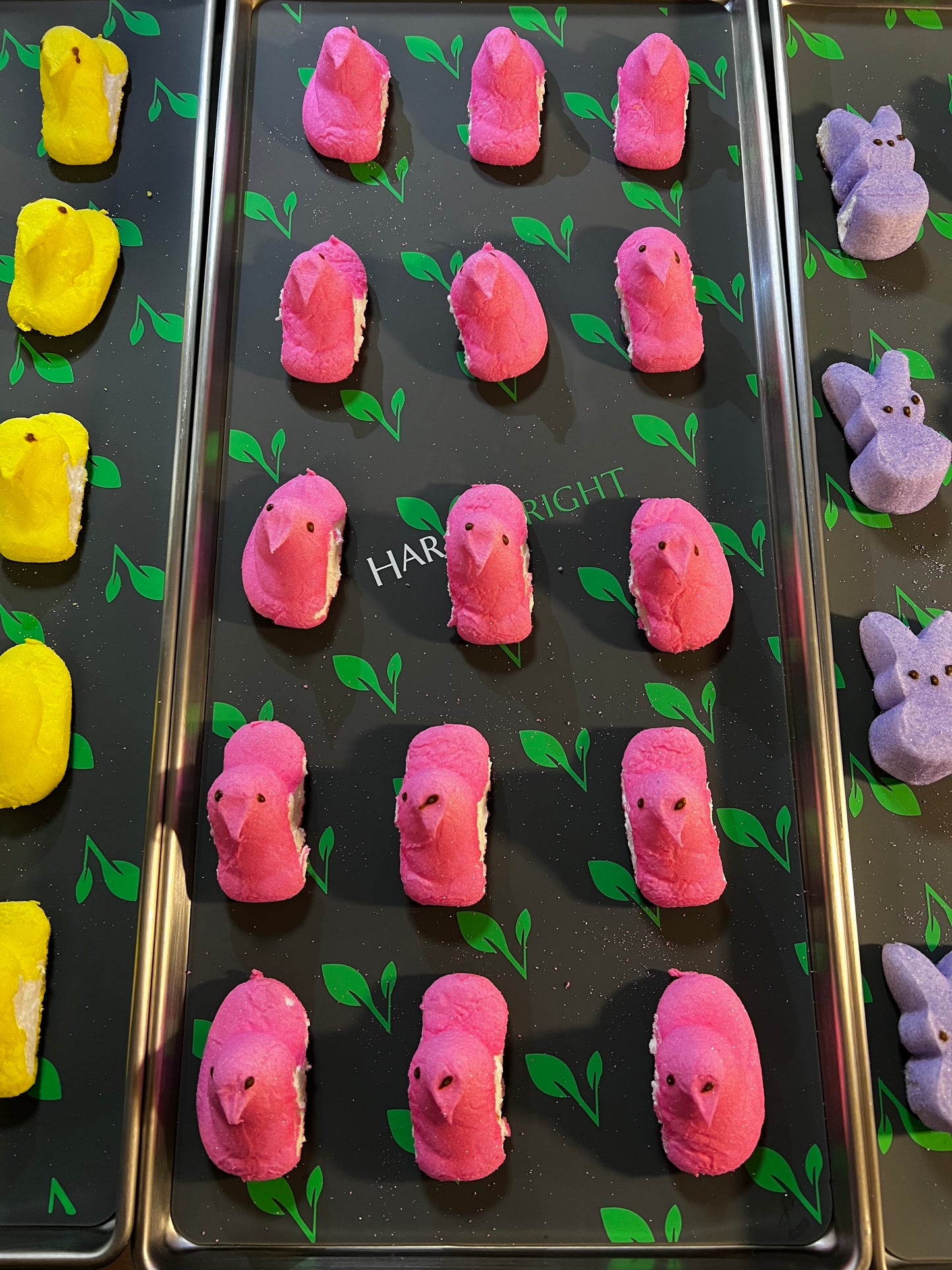 Cosmic Chirps: Freeze Dried marshmallow chickens